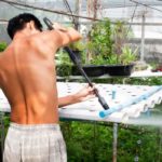 Cleaning Hydroponic Systems