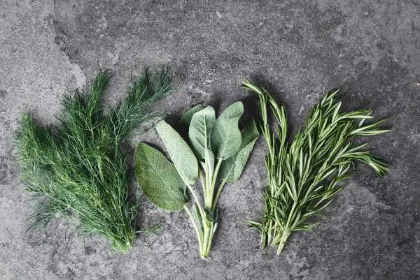 three different herbs