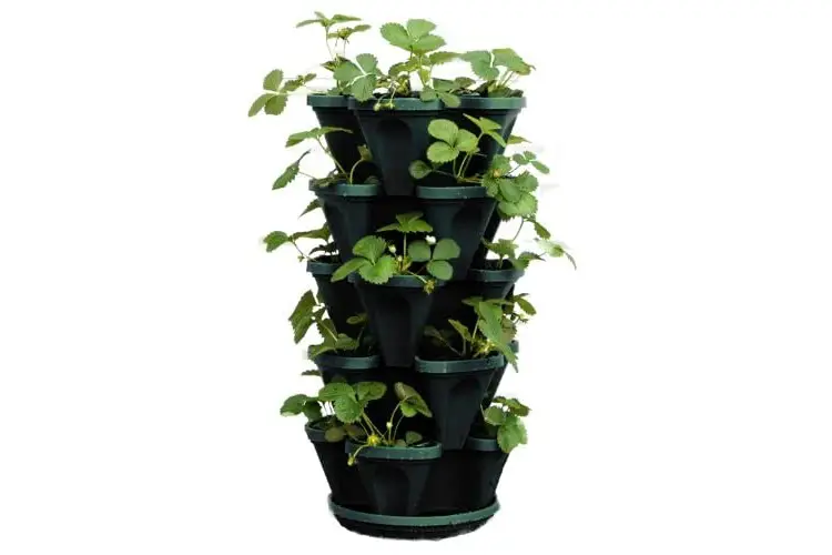 5-Tier Strawberry and Herb Garden Planter Review