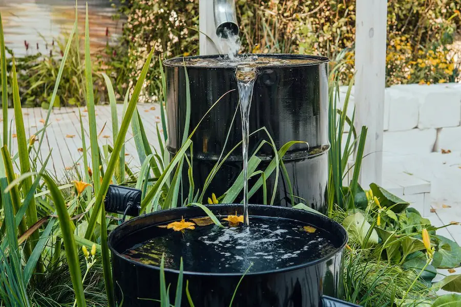 Collect rainwater for hydroponics