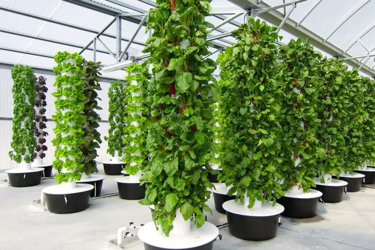 Vertical Hydroponic Systems Reviews and Recommendations