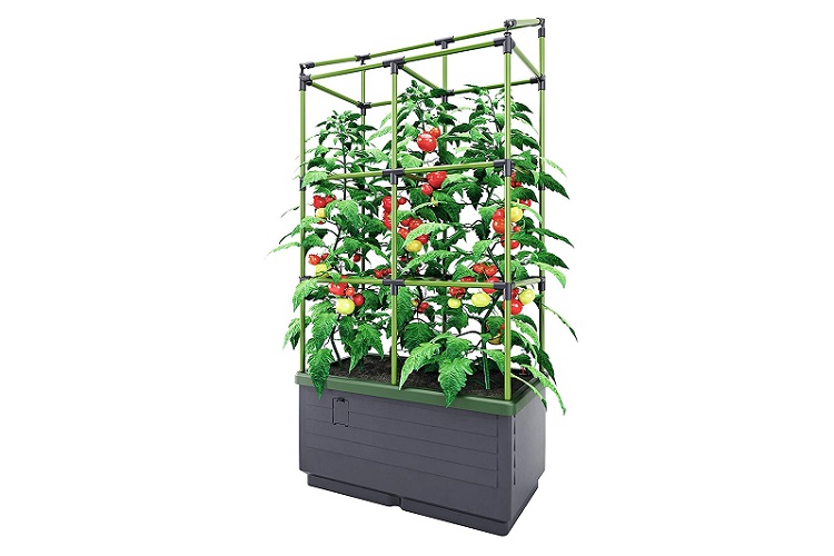Bio Green City Jungle Hydroponic Gardening System Review
