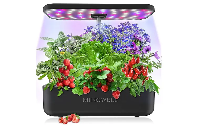 MINGWELL Hydroponics Growing System Review