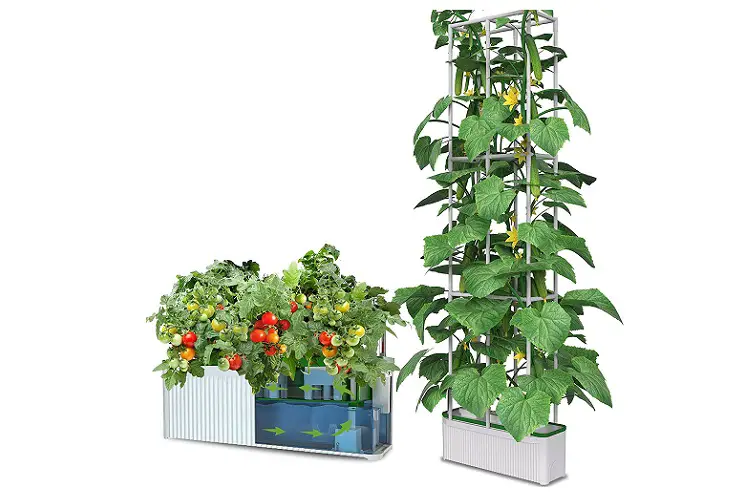 eSuperegrow Hydroponics Growing System Review