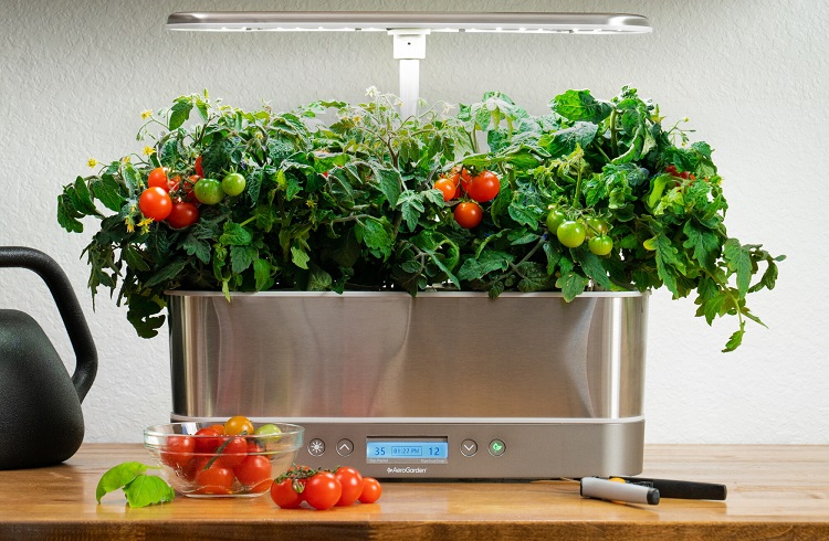 difference between hydroponics and soil-based growing