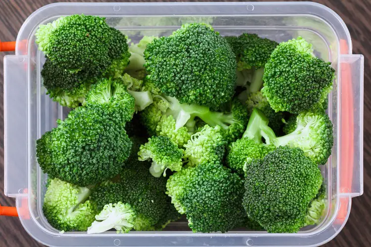 Can You Grow Broccoli in Hydroponics