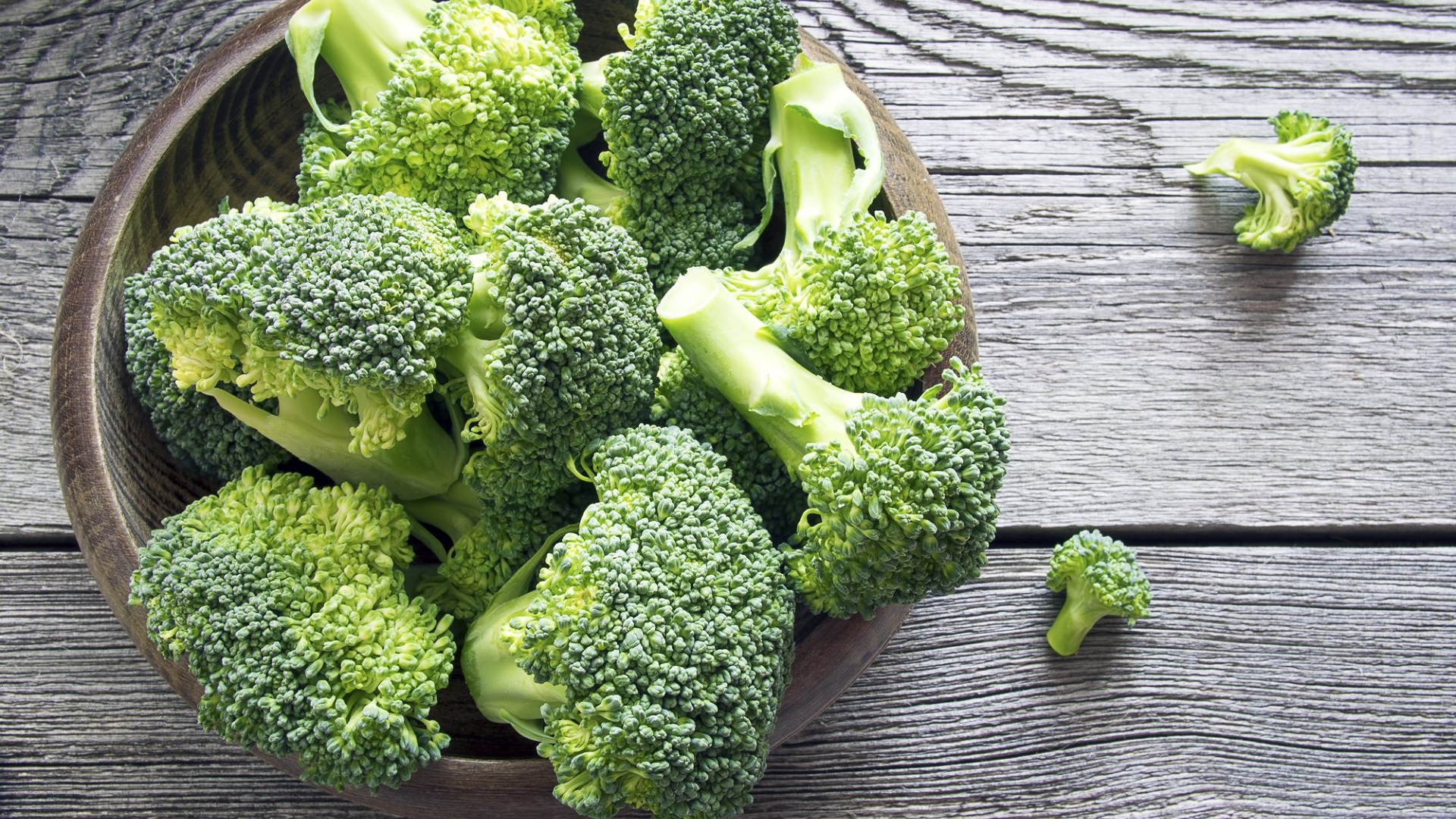 Can You Grow Broccoli in Hydroponics?