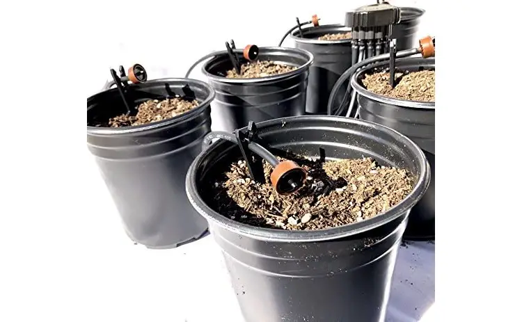 One-Stop Outdoor 12-Plant Home Grow Kit Review