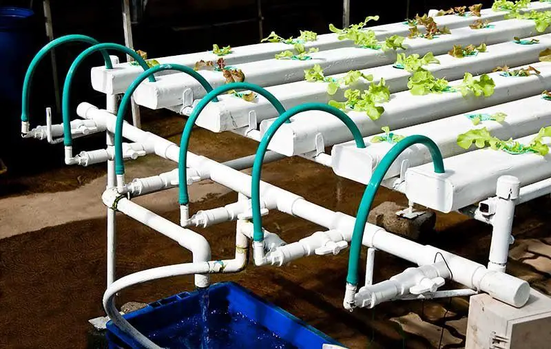 an NFT Hydroponic System
