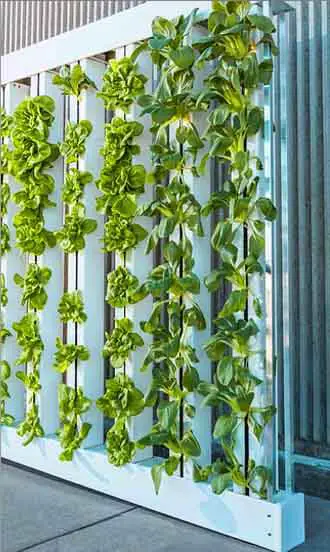a vertical hydroponic system