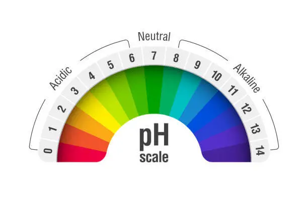 a ph scale