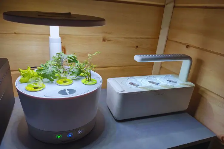Aerogarden vs. Click and Grow: Which Is Best in 2023?